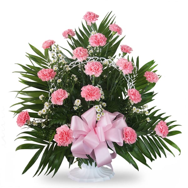 Pink Carnation Basket