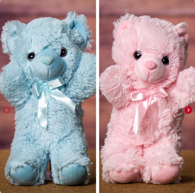 Pink or Blue Bear - 14" Bear