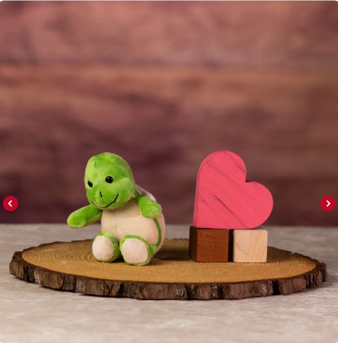 Turtle Teddy Bear - 7"
